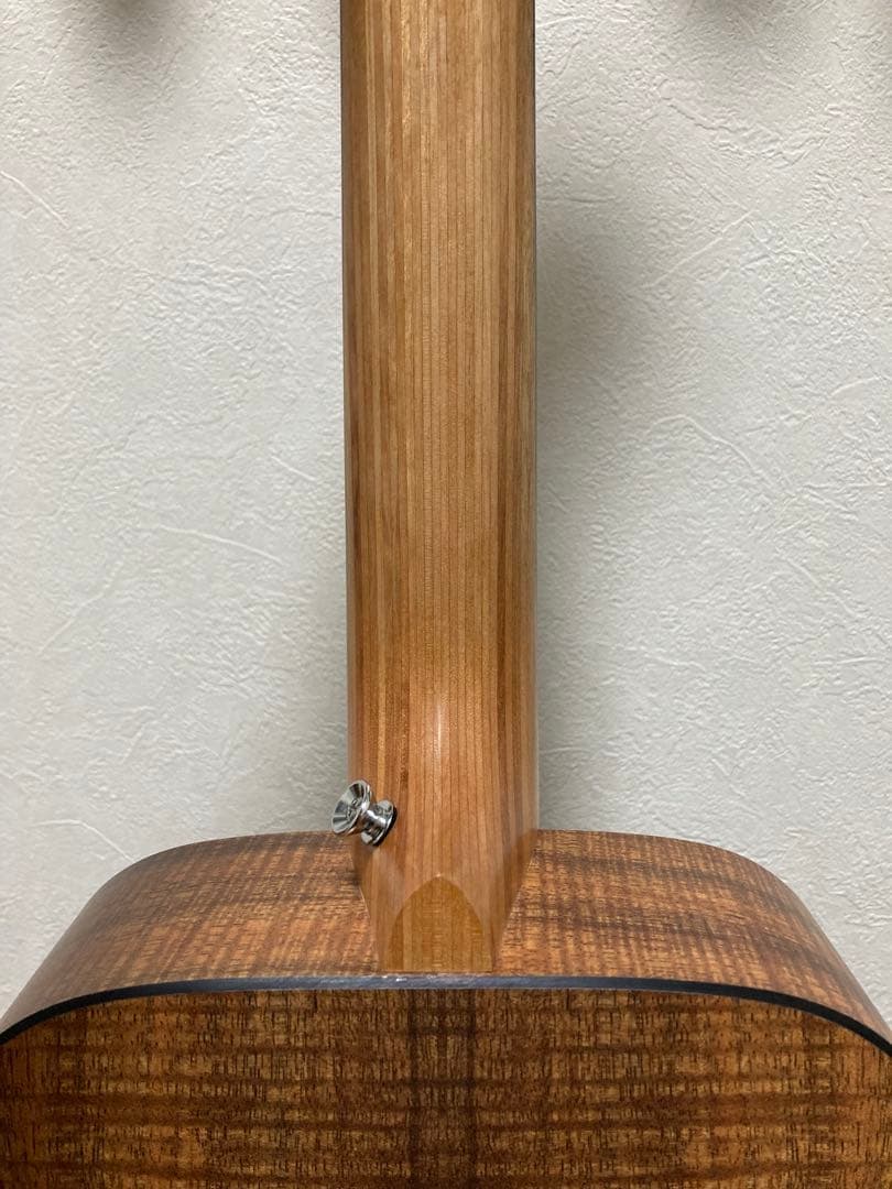 Little Martin LXK2 リトルマーチン ソフトケース付き