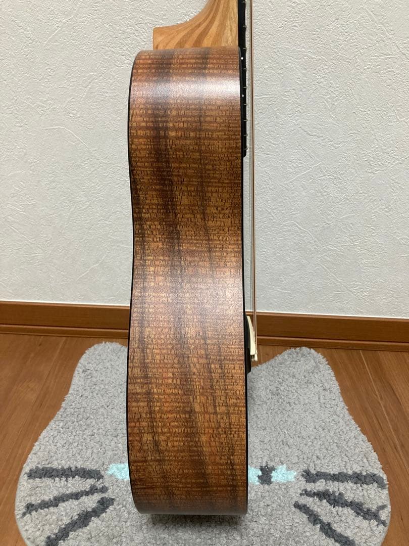 Little Martin LXK2 リトルマーチン ソフトケース付き