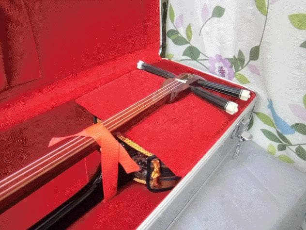 新品未使用(送料無料)13.000円　沖縄三線専用　二丁入アルミハードケース