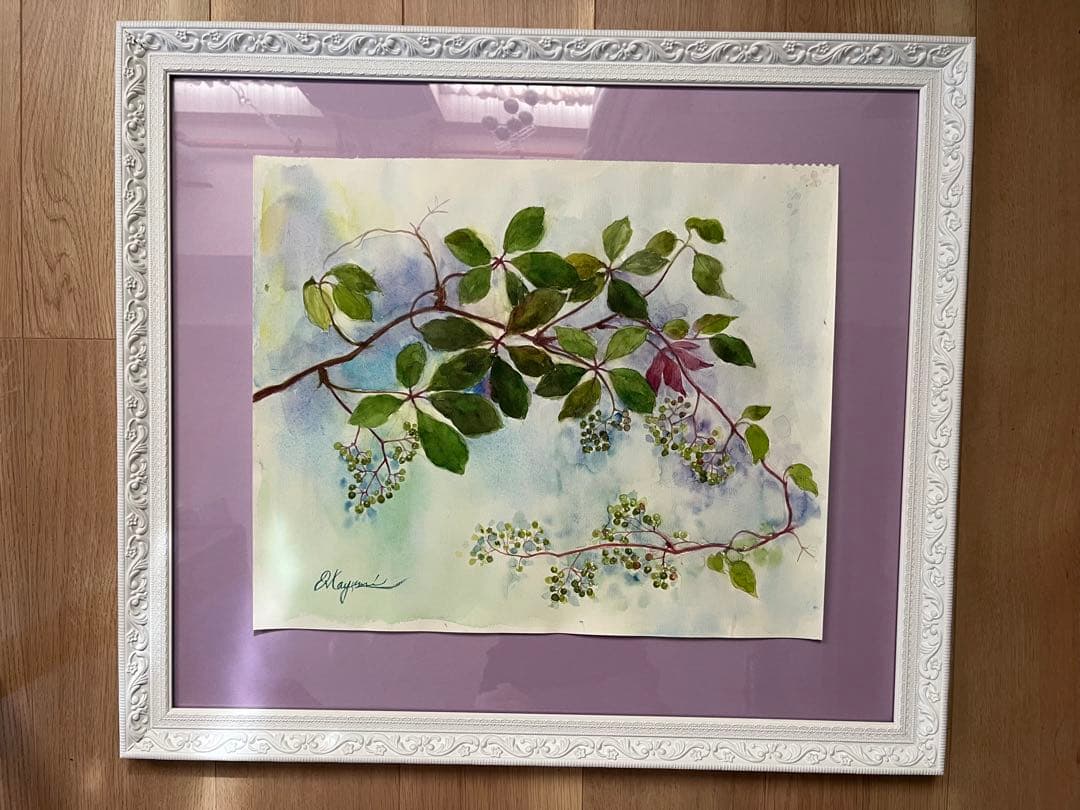 ヤマウコギ　水彩画