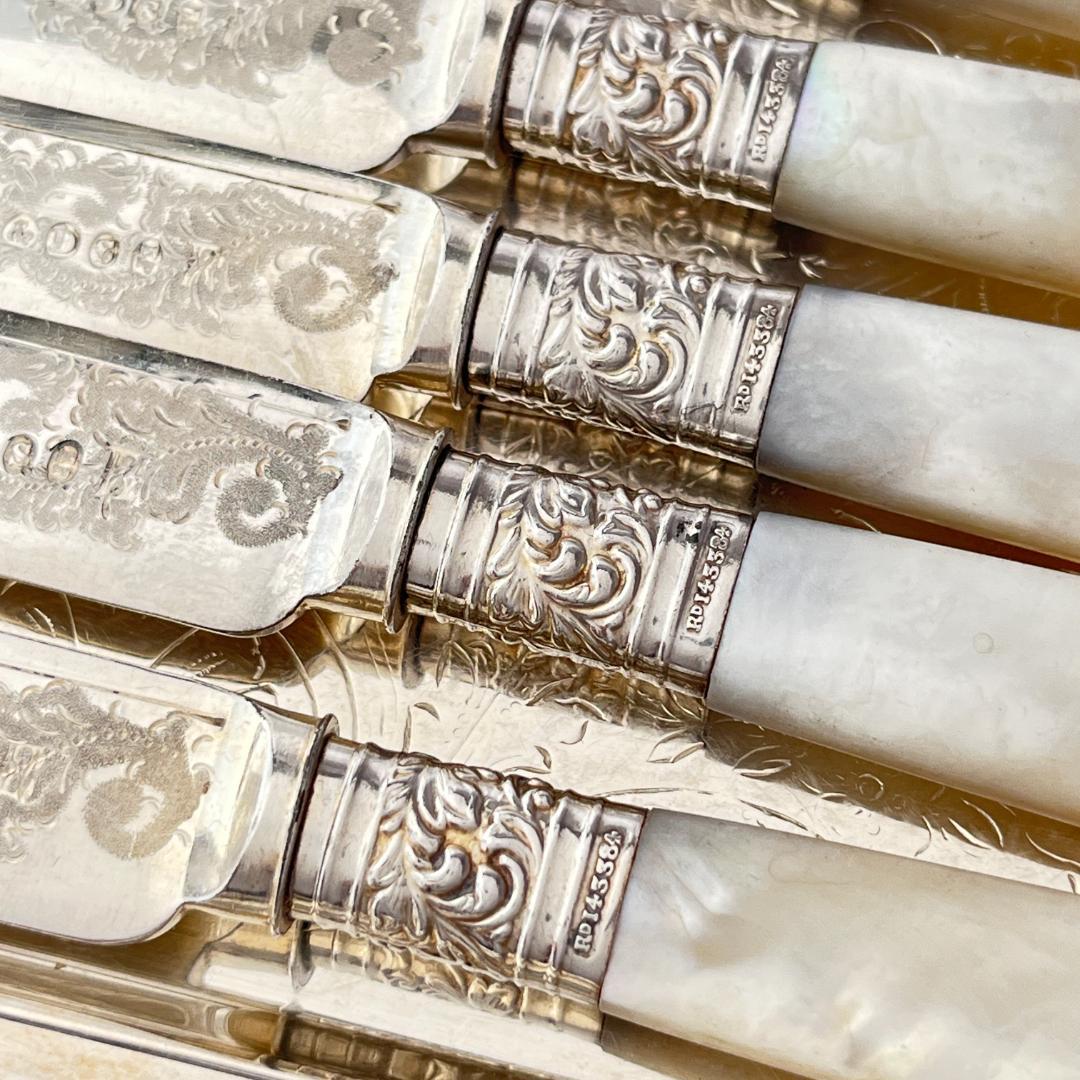 【Allen & Darwin】【白蝶貝】パストリーセット マザーオブパール