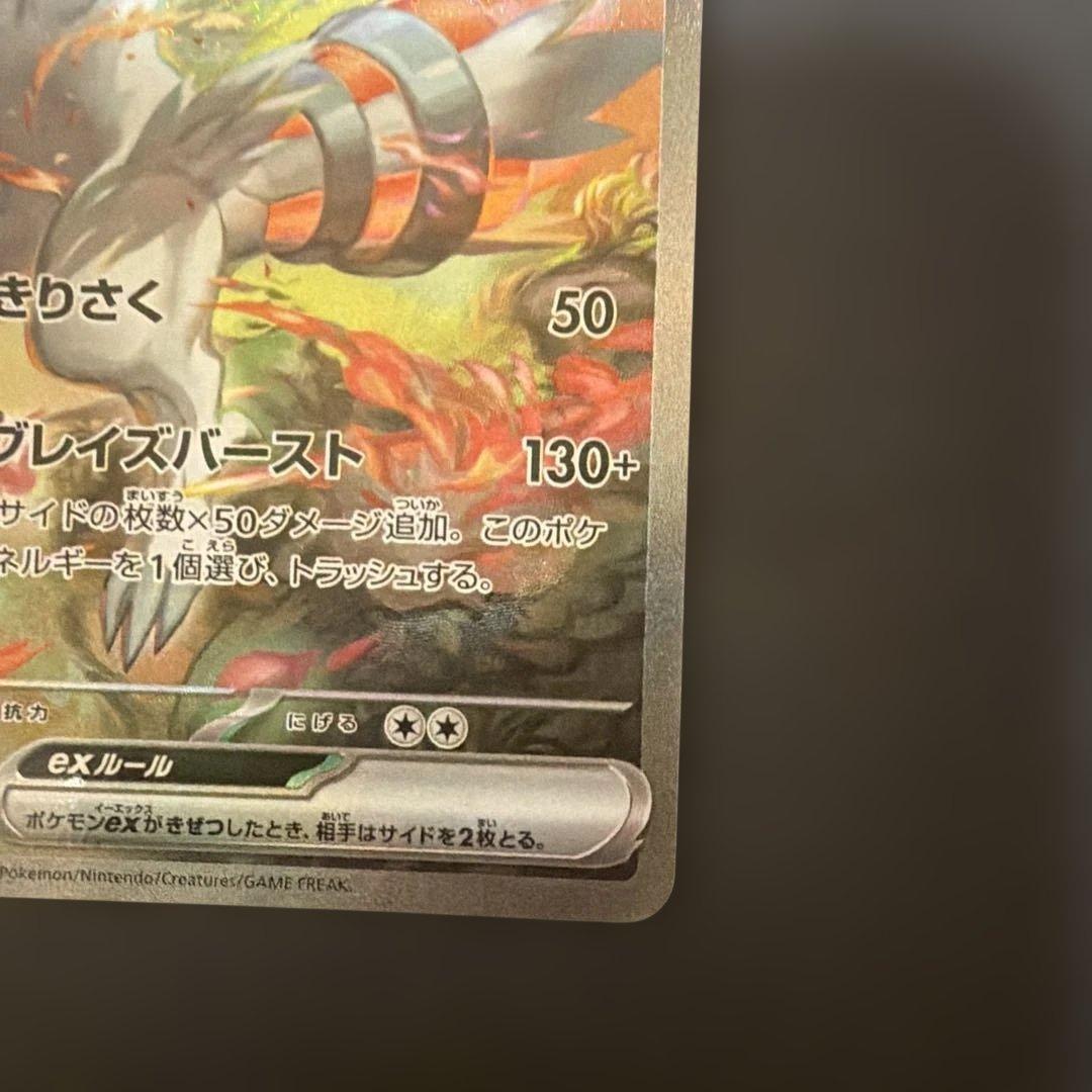 レシラムex sar ゼクロムex sar