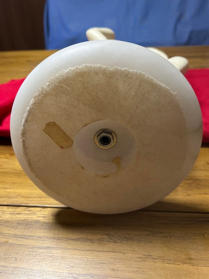 「Toros of a Nude」 アレクサンダー　ダネル作　オースティンプロ