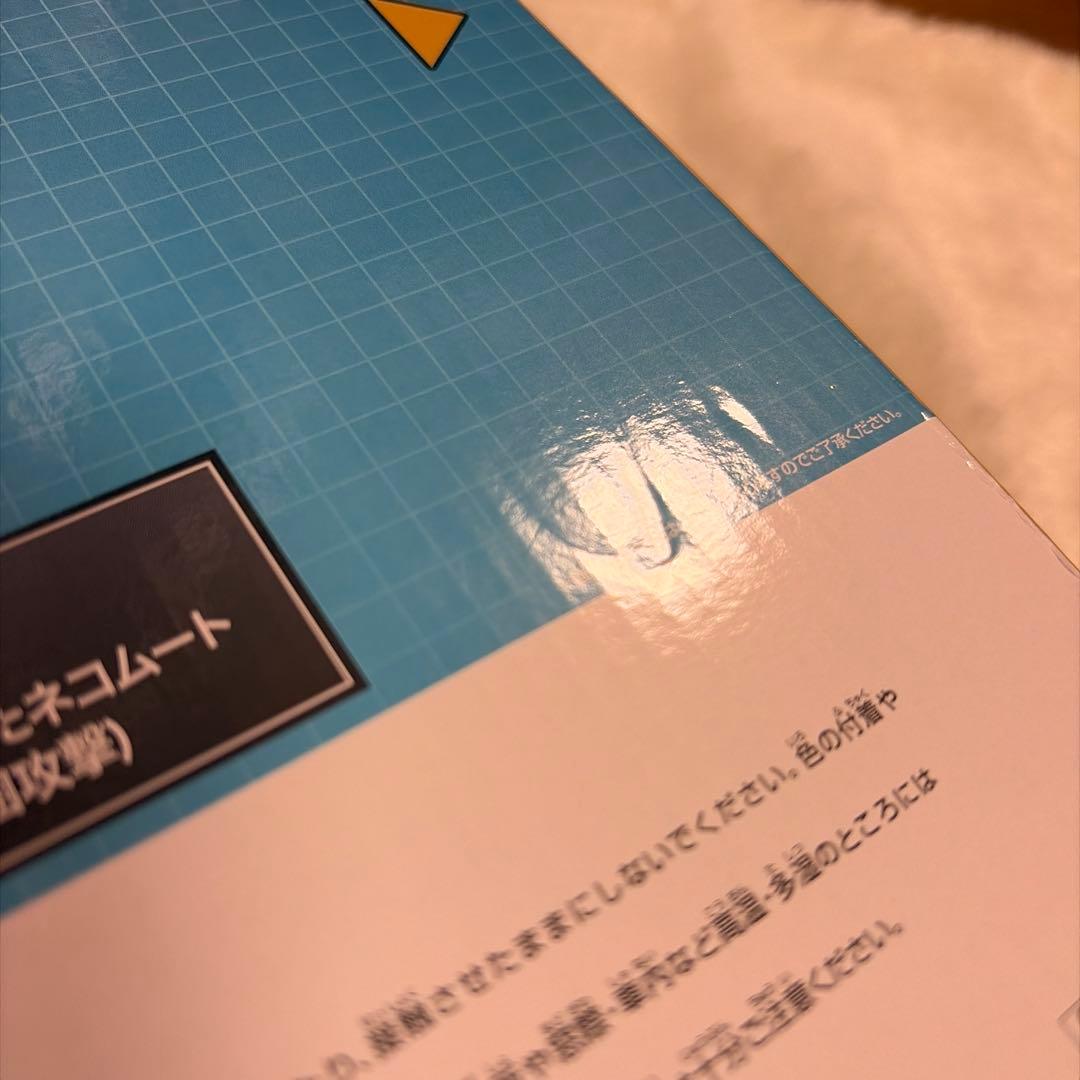 【鶴仙人】一番くじ にゃんこ大戦争 A賞 覚醒のネコムート フィギュア