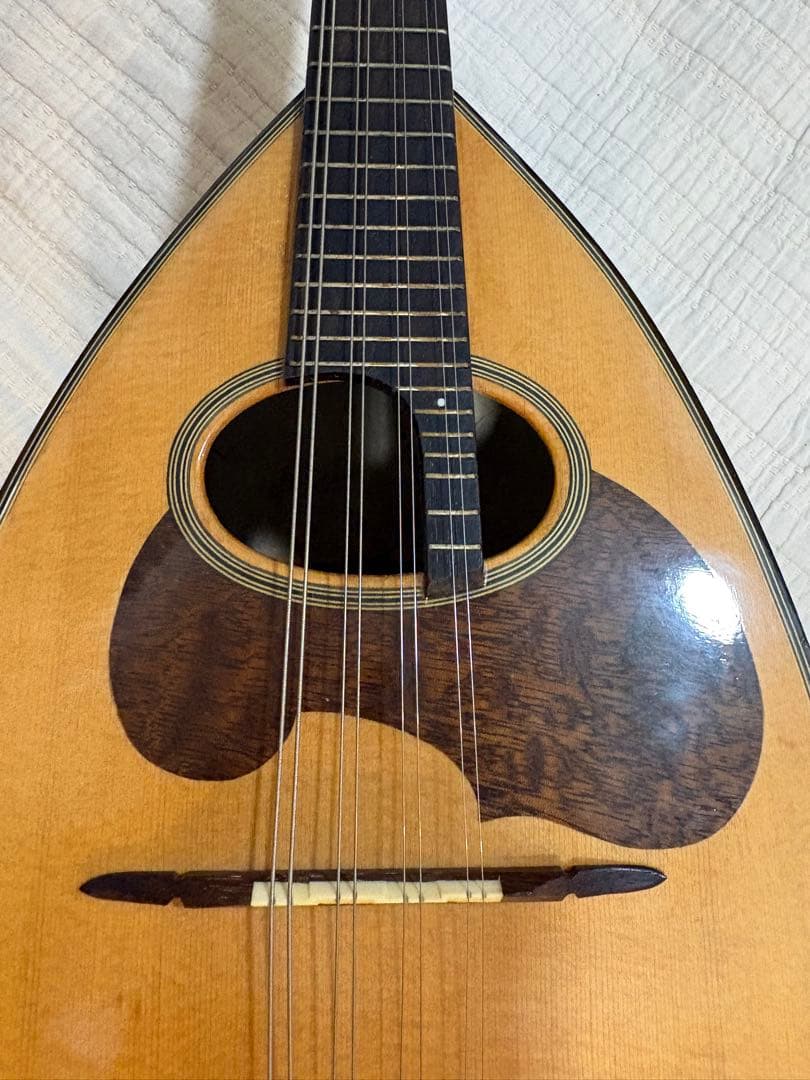 鈴木マンドリン スズキ M-30 ケース付き