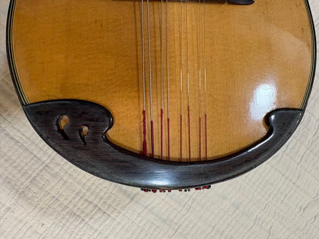 鈴木マンドリン スズキ M-30 ケース付き