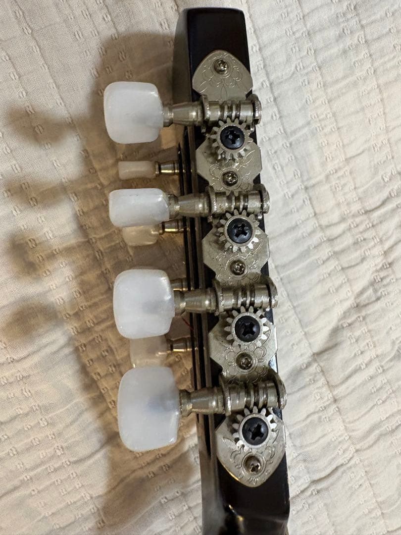 鈴木マンドリン スズキ M-30 ケース付き