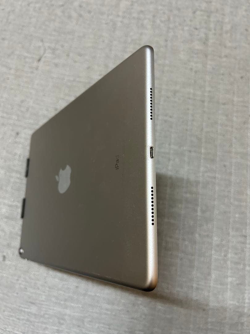た*が様 iPad Pro 10.5 256GB Wi-Fi 2018/12購入