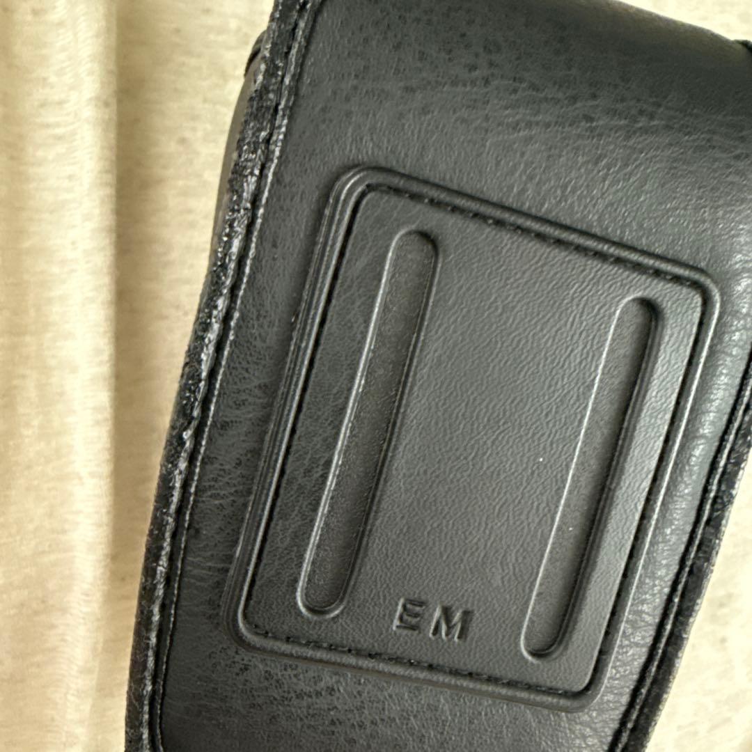 【動作品】PENTAX ESPIO 160 ケースあり