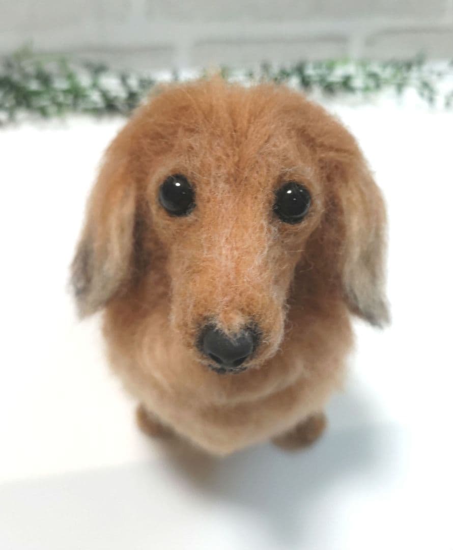 ことりる♡うちの子オーダー♡羊毛フェルト♪ハンドメイド☆