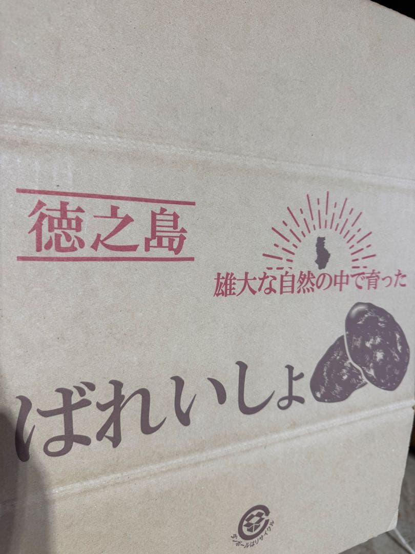有機栽培　　無農薬　新じゃがいも　10kg