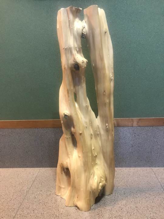 国産伊吹の一枚板  インテリア木材