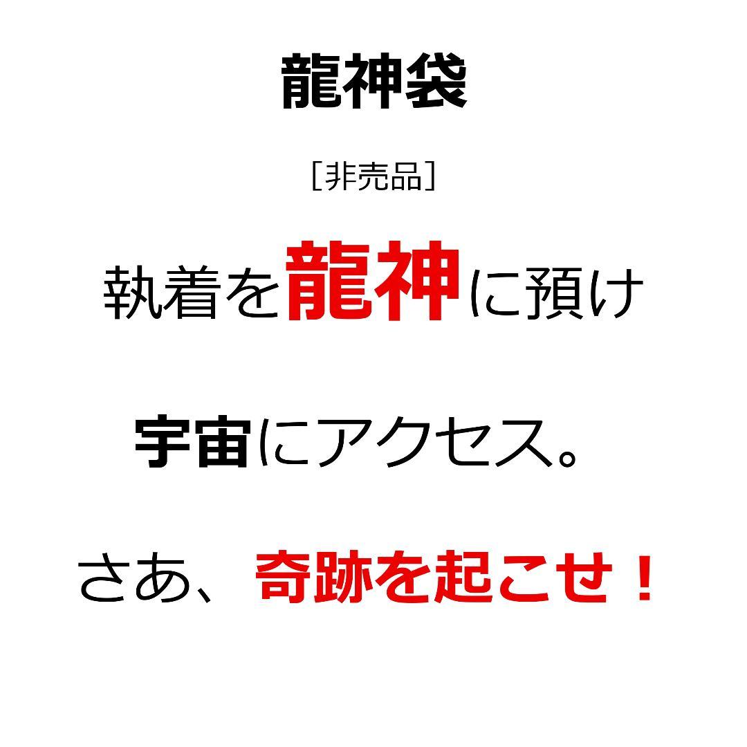【新作特価】龍神画『開運招福』+非売品『龍神袋』※開運絵画 護符 お守り 御守り