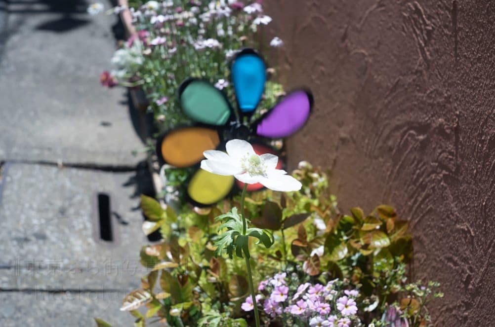 ☆これで出品取り止めます☆Carl Zeiss Tessar 50mm f2.8