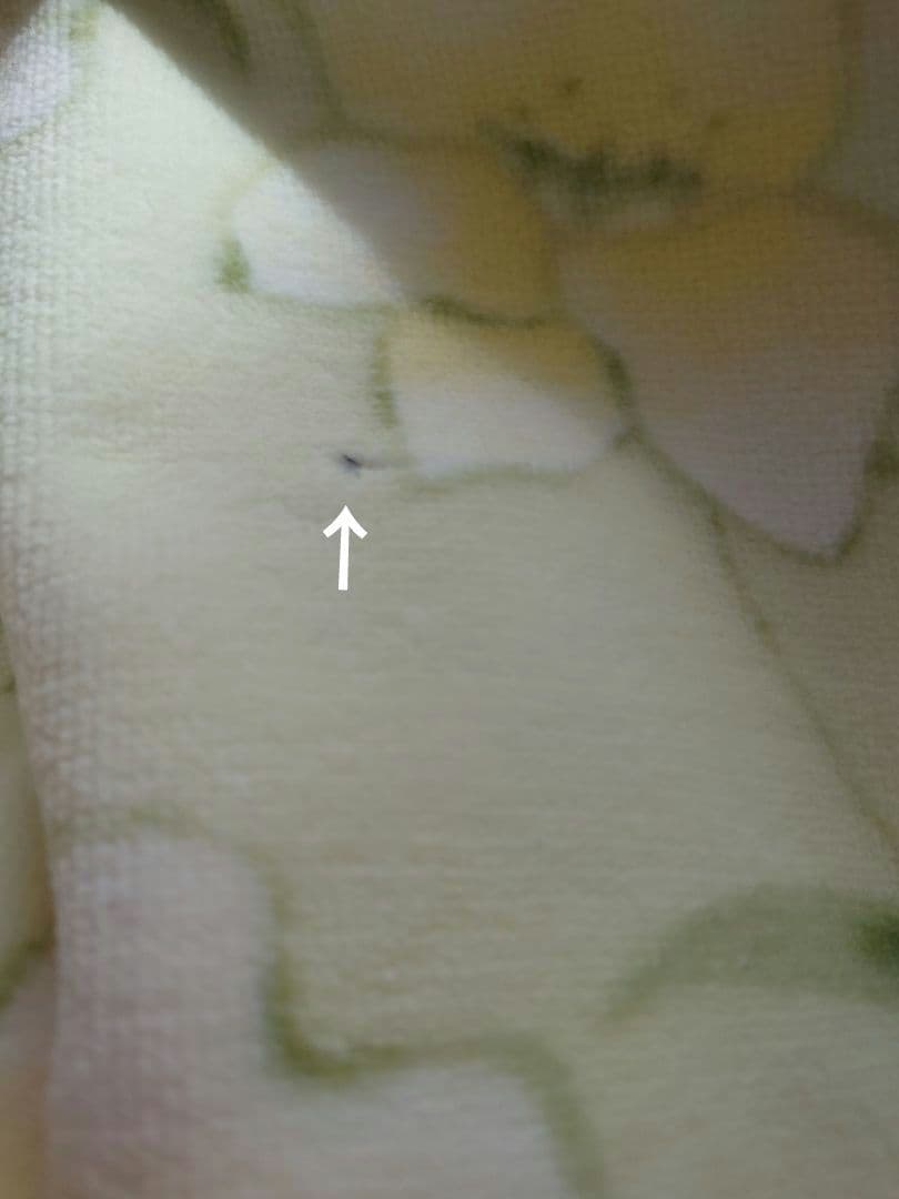 モリハナエ　ニナリッチ　毛布　2枚　セット