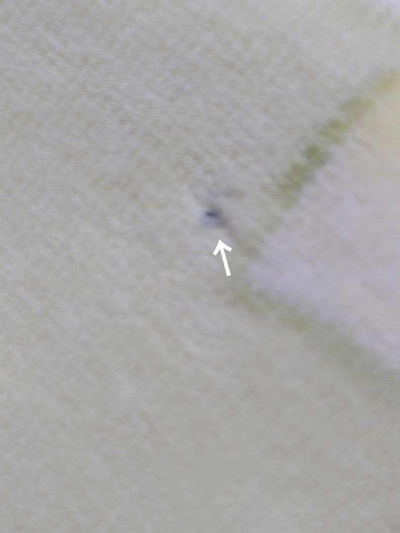 モリハナエ　ニナリッチ　毛布　2枚　セット