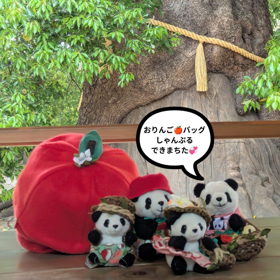 【出品しました♡】おでシャン♡シャオ♡レイ❤️お祝い✿コスチューム色違い