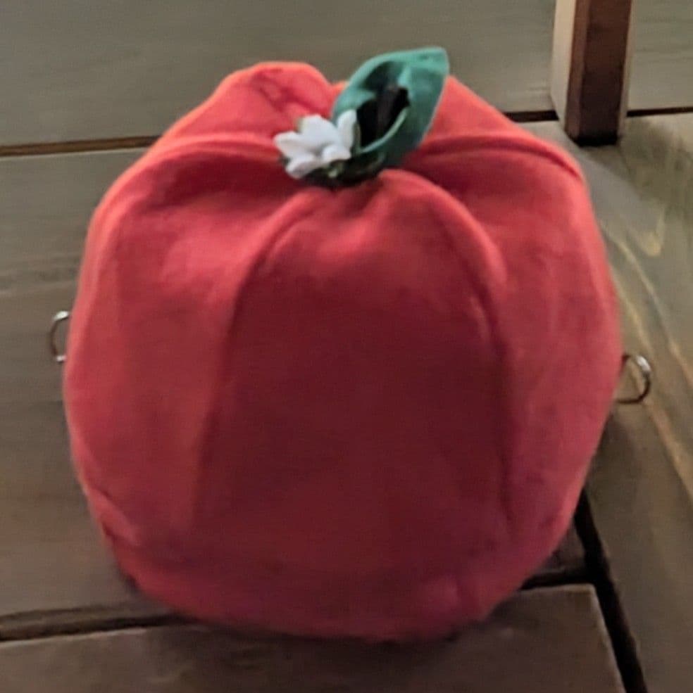 【出品しました♡】おでシャン♡シャオ♡レイ❤️お祝い✿コスチューム色違い