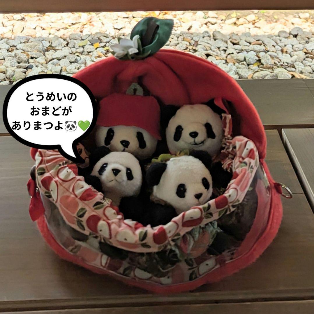 【出品しました♡】おでシャン♡シャオ♡レイ❤️お祝い✿コスチューム色違い