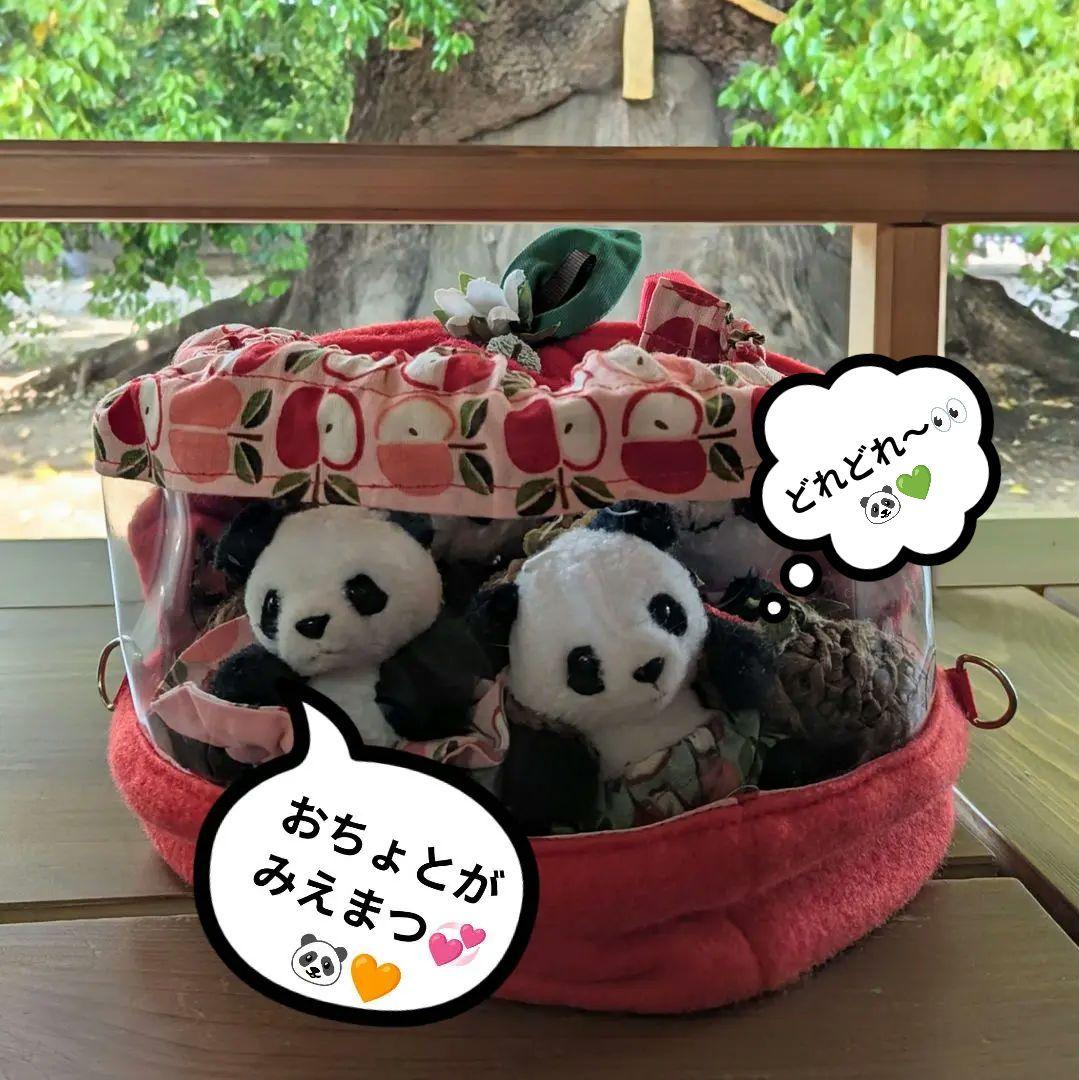 【出品しました♡】おでシャン♡シャオ♡レイ❤️お祝い✿コスチューム色違い