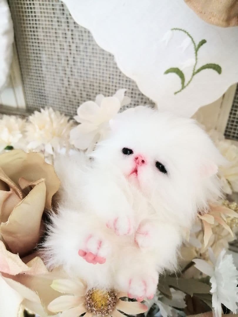 ミニミニ子猫ちゃん♡ふわふわ♡アートドール♡ぬいぐるみ♡