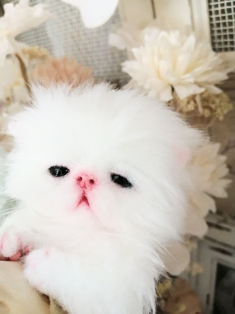 ミニミニ子猫ちゃん♡ふわふわ♡アートドール♡ぬいぐるみ♡