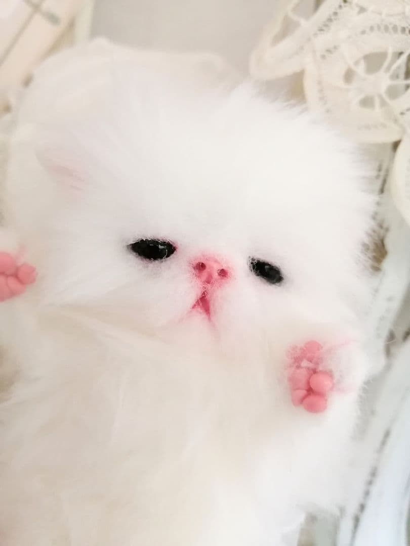 ミニミニ子猫ちゃん♡ふわふわ♡アートドール♡ぬいぐるみ♡