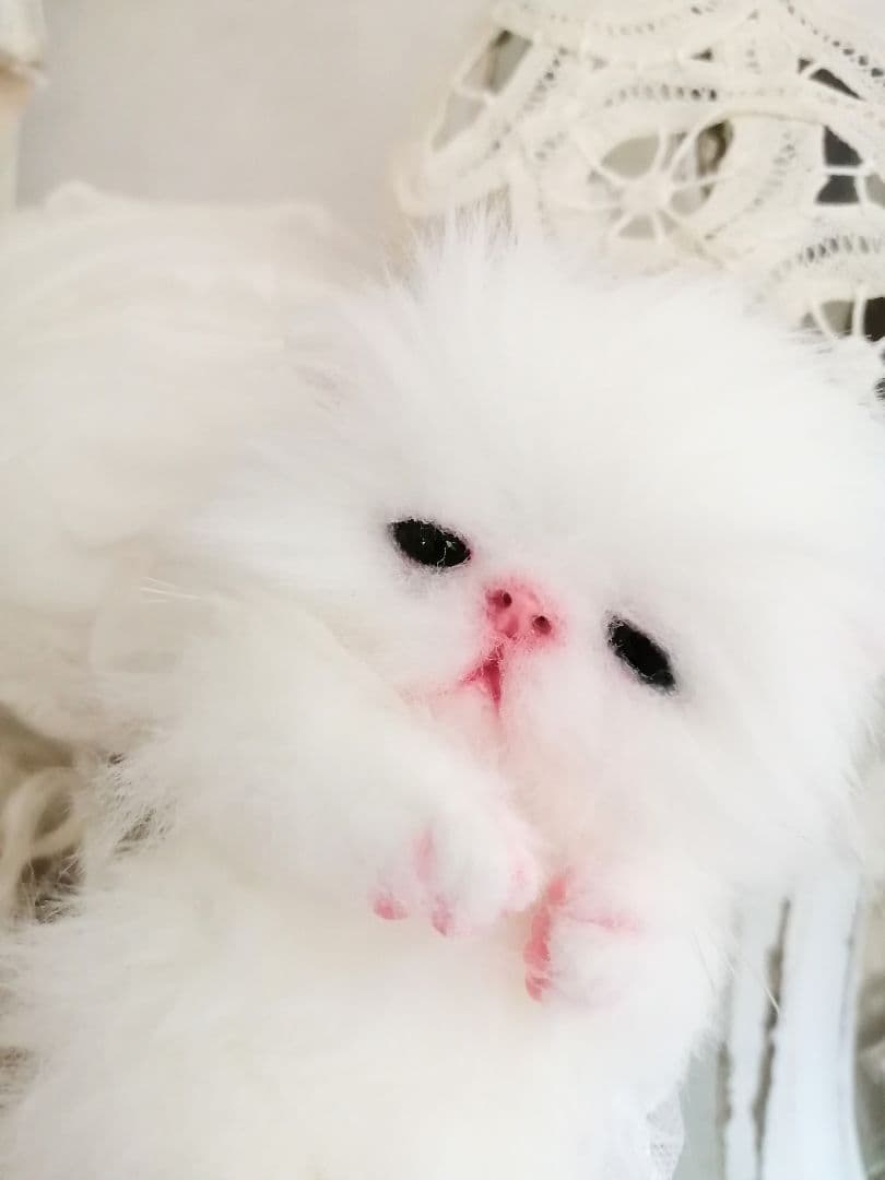 ミニミニ子猫ちゃん♡ふわふわ♡アートドール♡ぬいぐるみ♡