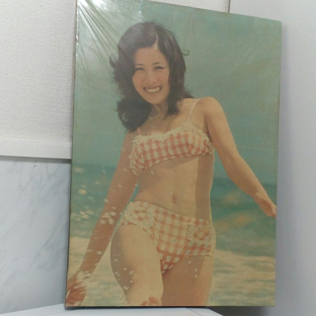 昭和レトロ５１✕３６センチサイズ当時物フェミニンな雰囲気な額装パネル品