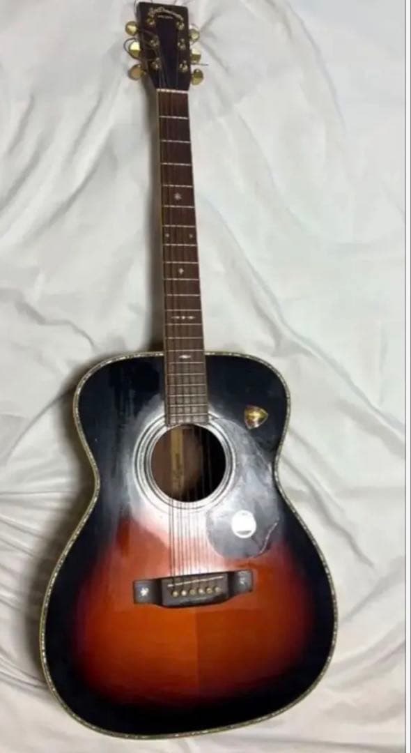 Aria Dreadnought アコースティックギター