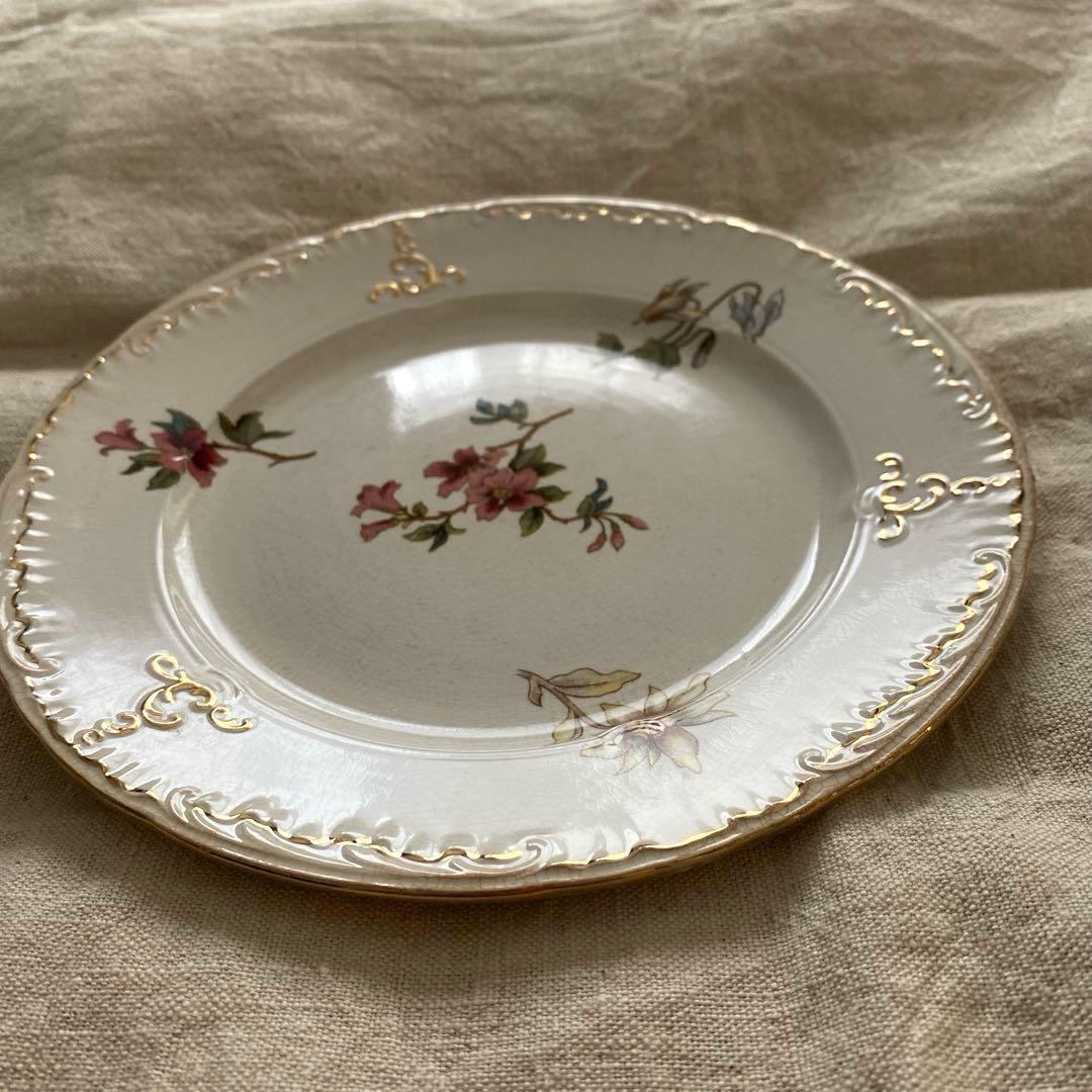 サルグミンヌRIGHI sarreguemines RIGHI プレート【B】