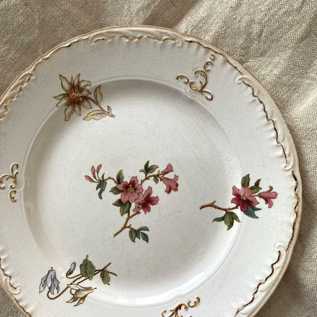 サルグミンヌRIGHI sarreguemines RIGHI プレート【B】