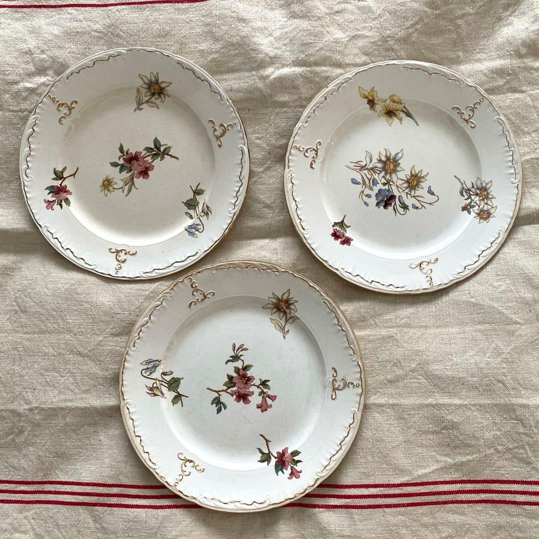 サルグミンヌRIGHI sarreguemines RIGHI プレート【B】