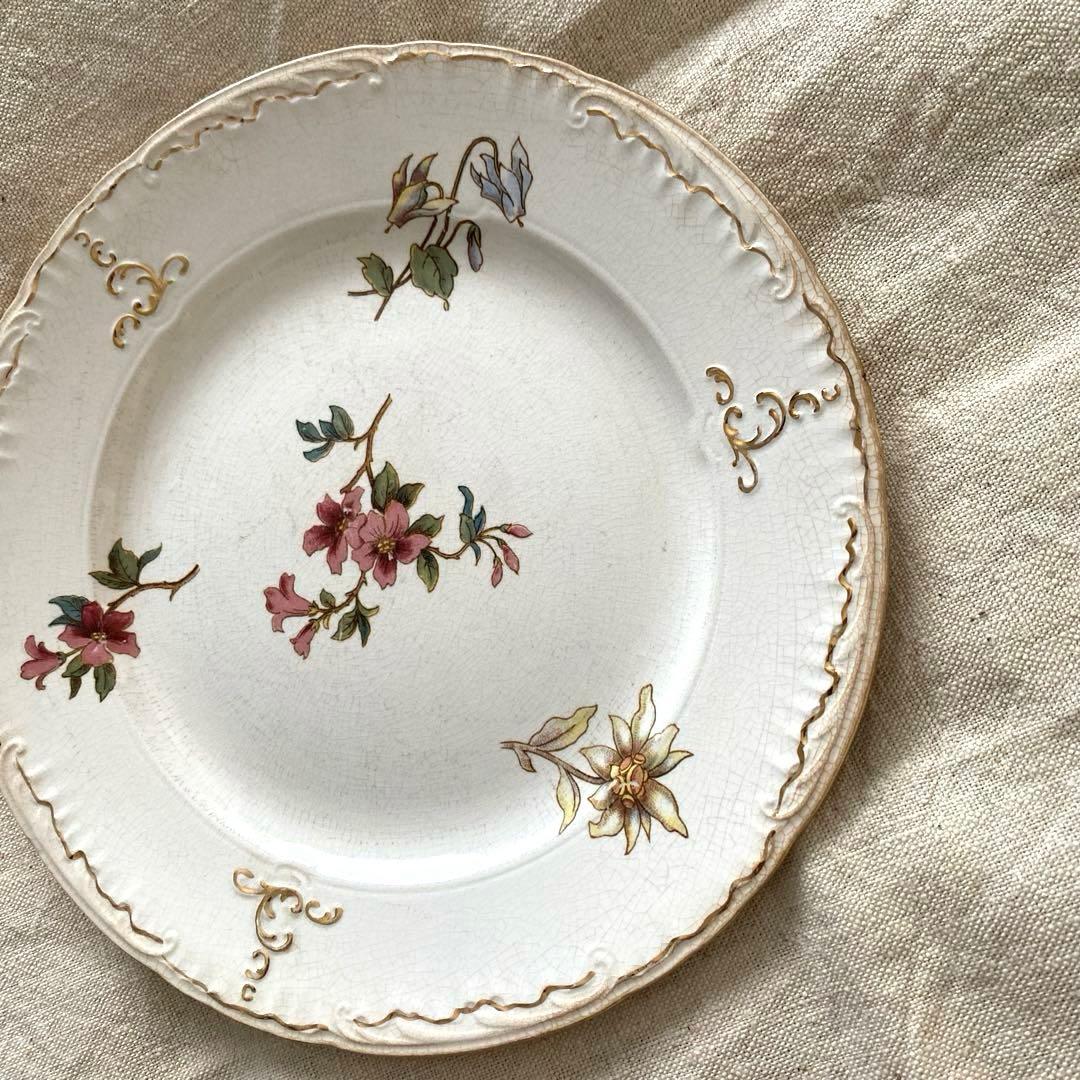 サルグミンヌRIGHI sarreguemines RIGHI プレート【B】