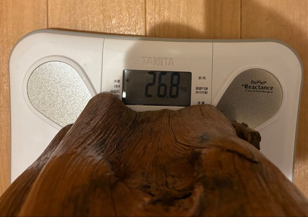 本黒檀 自然木 花台 飾台