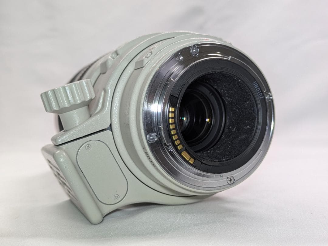 レンズ(ズーム) Canon EF 100-400mm 4.5-5.6 L IS USM #311