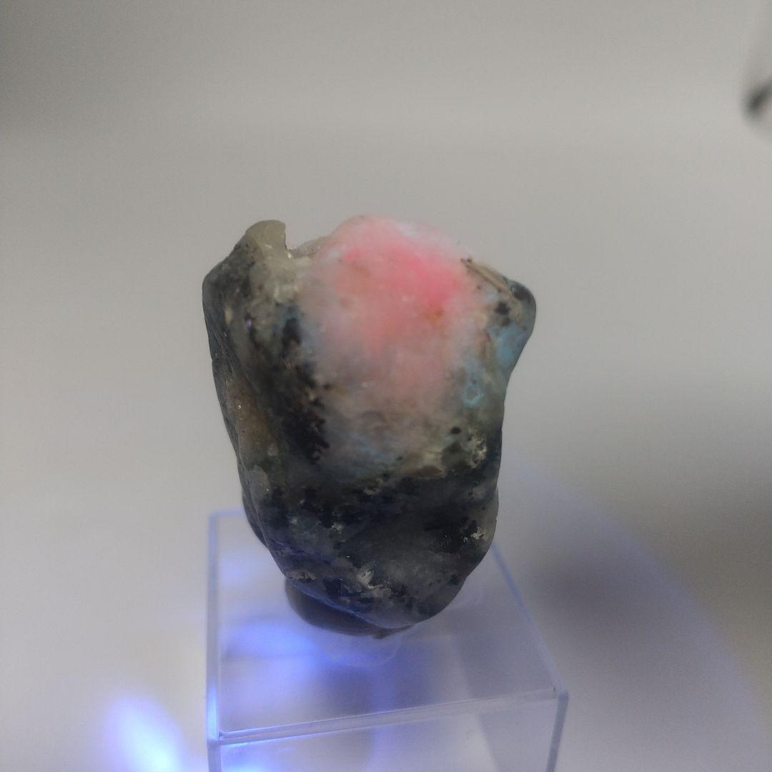 天然石 グリーンランド産ピンクのタグトゥパイト 紫外線反応性