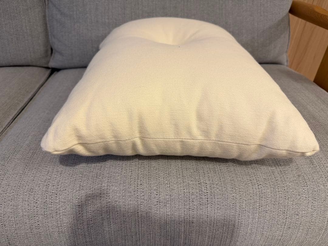 HAYクッション2個セット