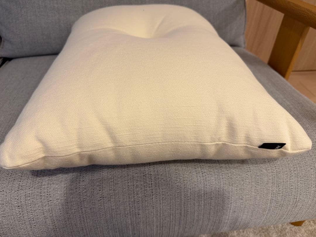 HAYクッション2個セット