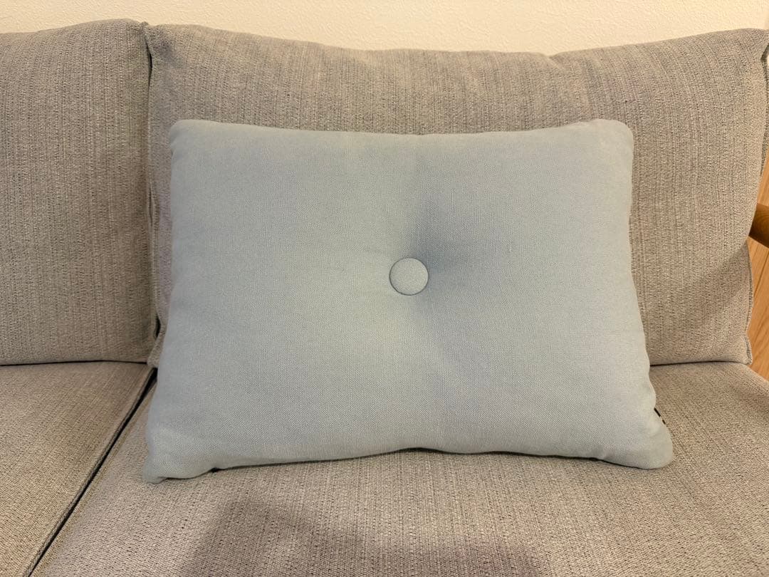 HAYクッション2個セット