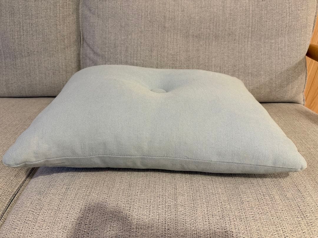 HAYクッション2個セット