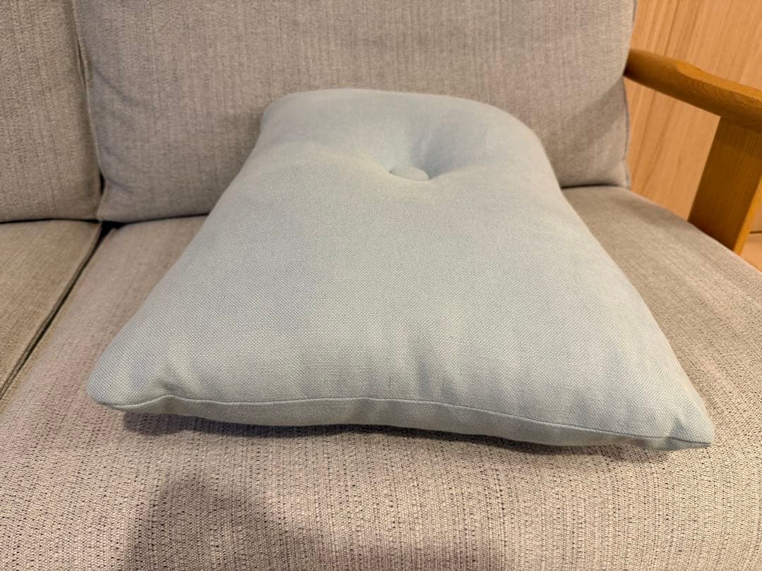 HAYクッション2個セット