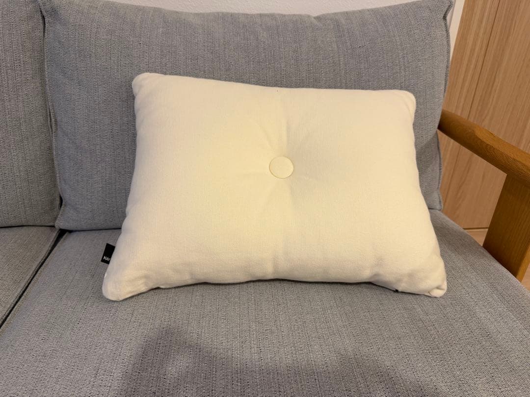 HAYクッション2個セット