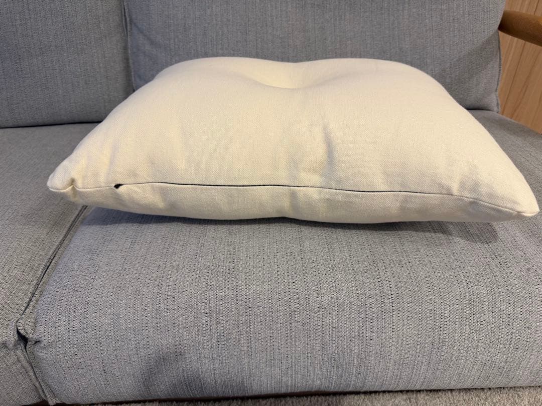 HAYクッション2個セット