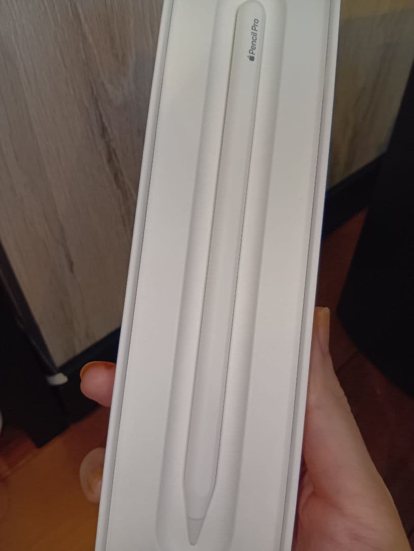 Apple Pencil pro (第2世代) 専用ケース付き