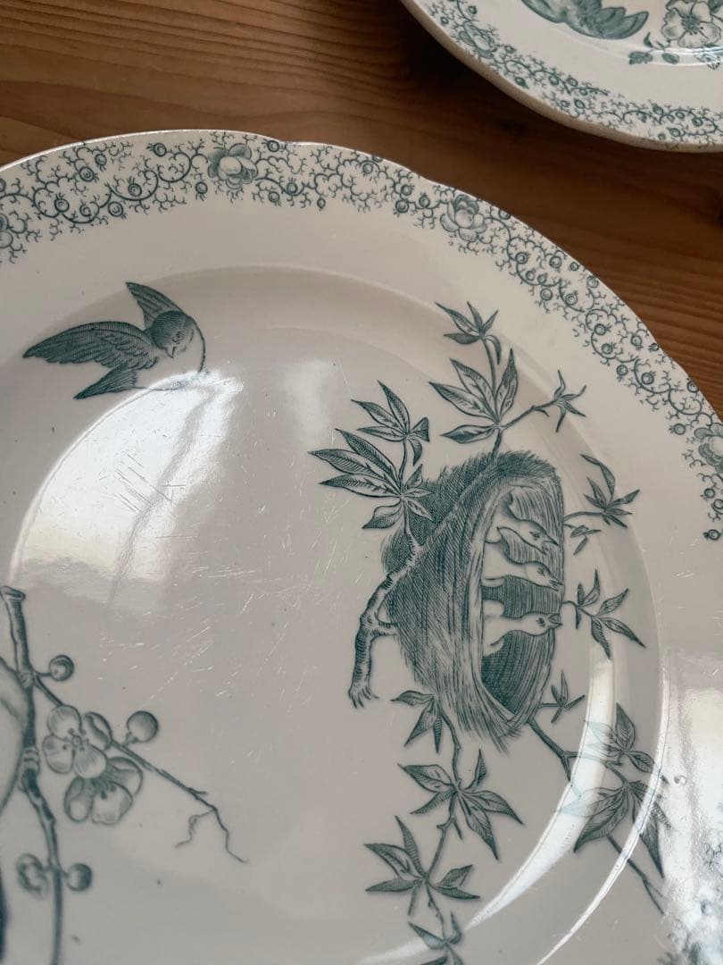 フランス　アンティーク　ペクソンヌ窯　プレート　pexonne floride