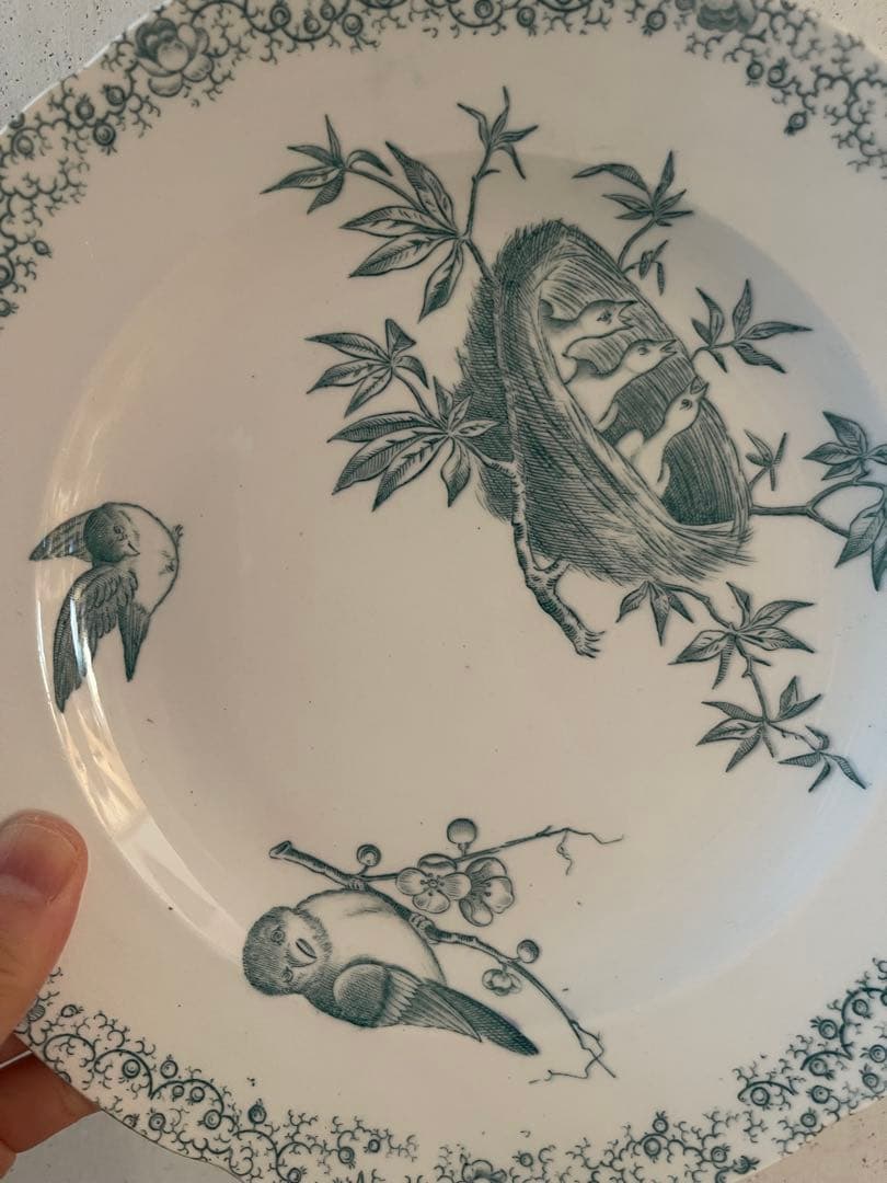 フランス　アンティーク　ペクソンヌ窯　プレート　pexonne floride