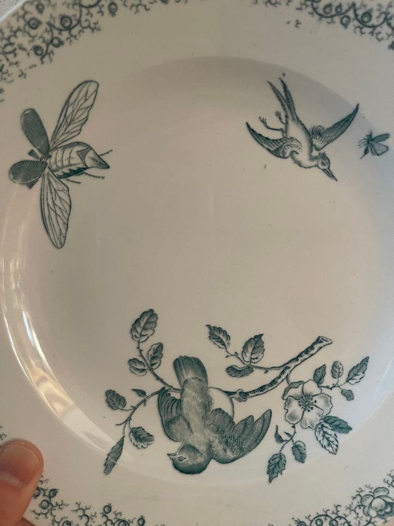 フランス　アンティーク　ペクソンヌ窯　プレート　pexonne floride