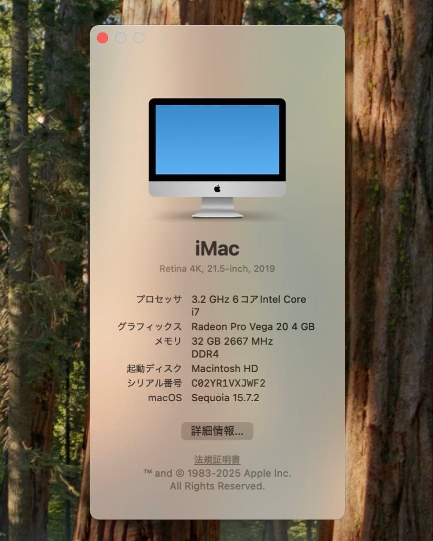 Macデスクトップ iMac 21.5 2019 i7 32GB SSD 2TB