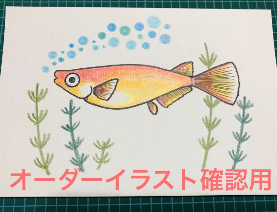 オーダーイラスト確認ページ